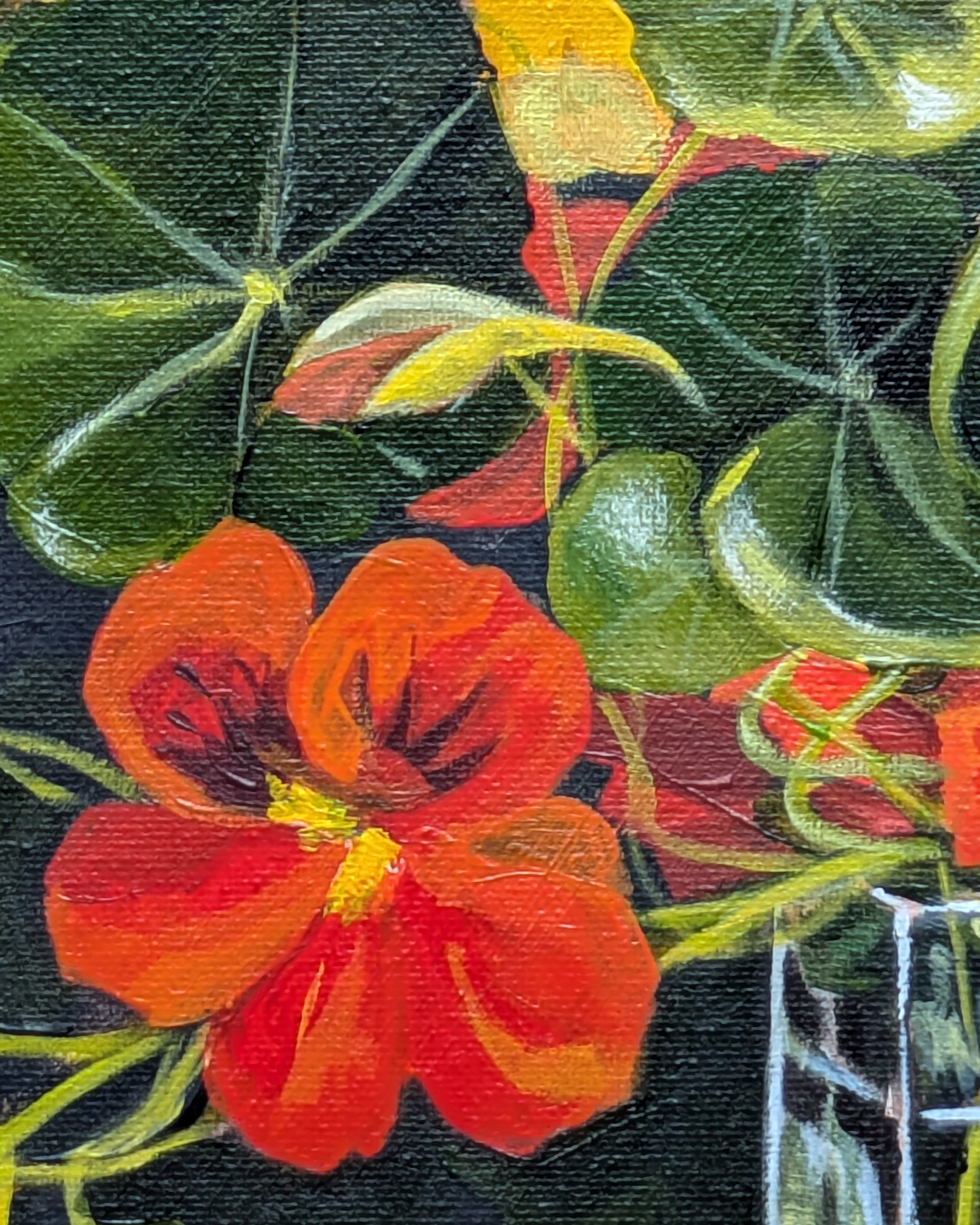Pony Club's Nasturtiums — view 3